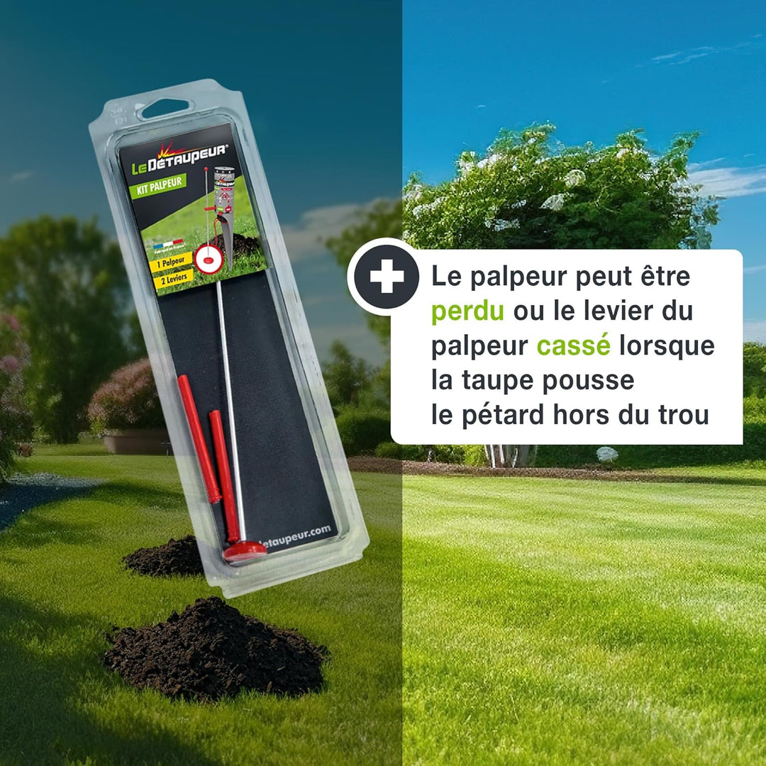 DETAUPEUR KIT SAV 2 TIGES + 1 PALPEUR KITSAV