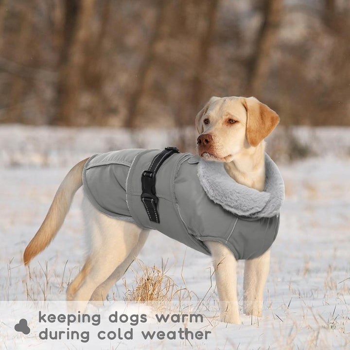 Hundejacke Kleine Hunde, Wintermantel Fleece für Hunde Hundemantel Wasserdicht Hundejacke Französisc