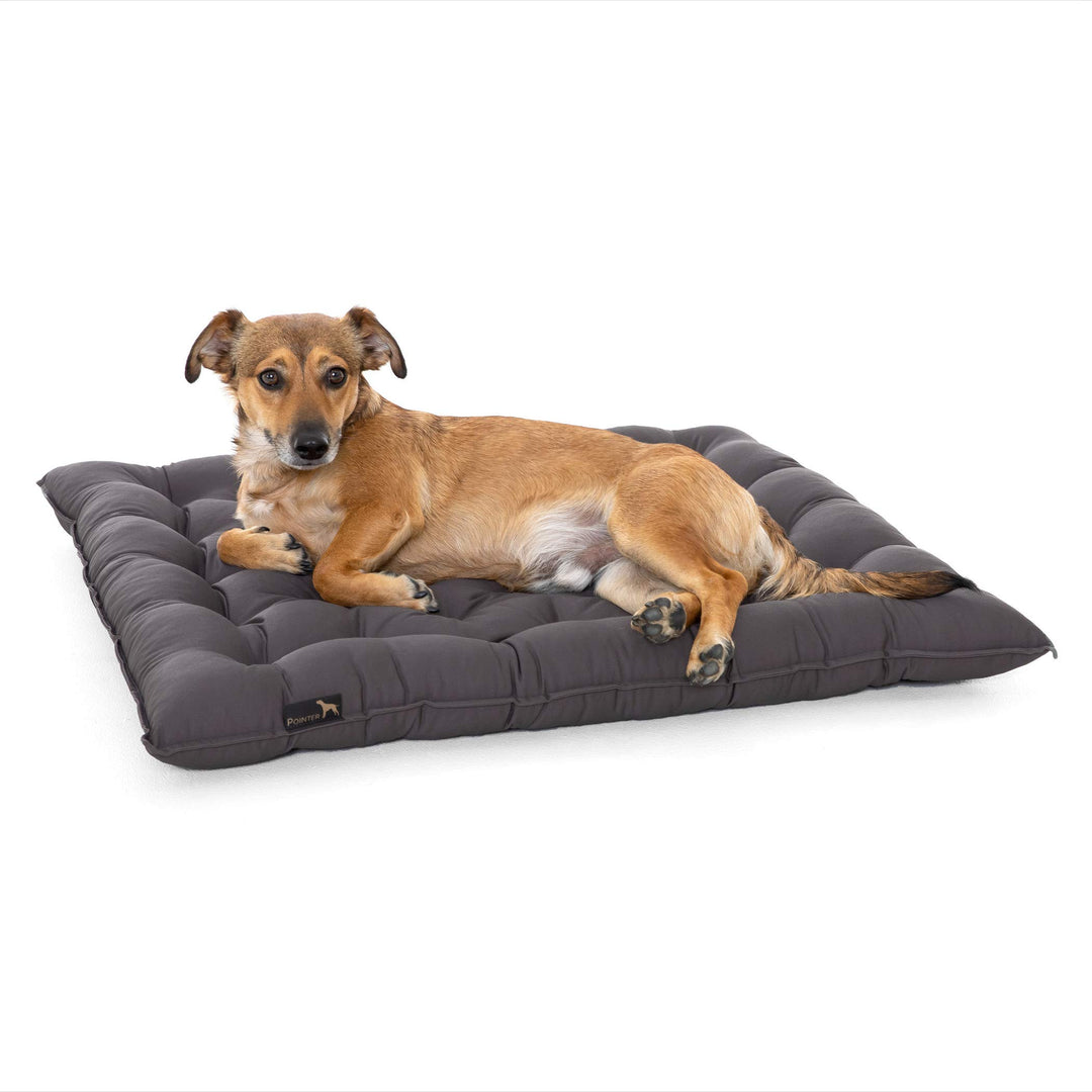 Doctor Bark Pointer | Hundekissen Urban - orthopädisch, waschbar, robust, bequem (XL - 70x60 cm, Gra