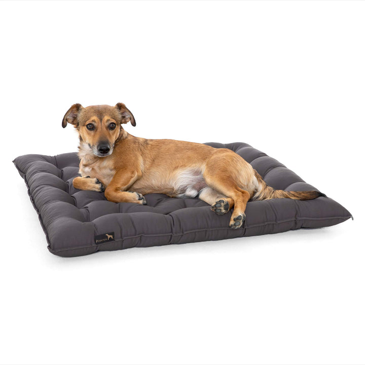 Pointer | Urban Hundekissen Grosse Hunde, 80x70 cm - Orthopädisches Hundebett Waschbar bis 95°C, Ger