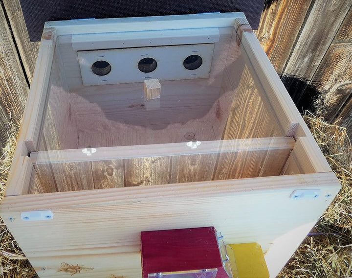 Premium Hummelkasten mit Wachsmottensperre, 2X Sichtfenster und Nistmaterial Wetterfest Bienenhaus H