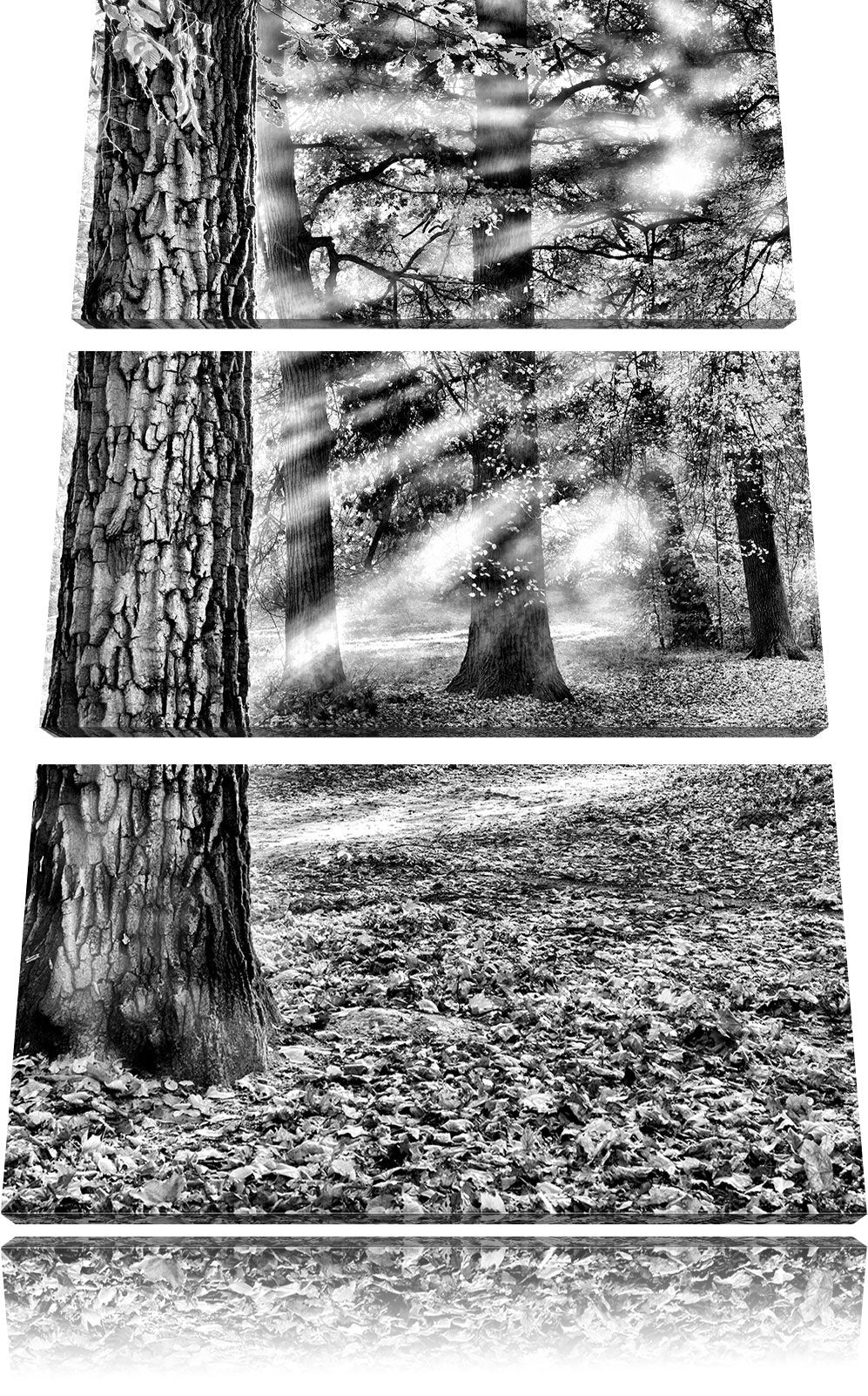 Pixxprint Sonnenstrahlen im Wald als Leinwandbild/Grösse: 3 Teilig (120x80) cm/Wandbild/Kunstdruck/f