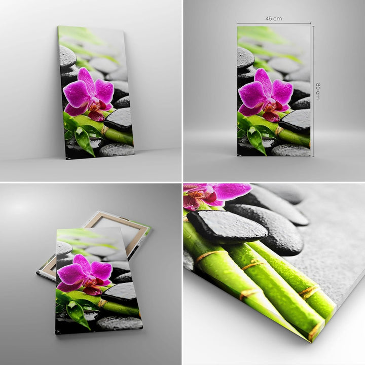 Bilder auf Leinwand Pflanze Steine Bambus Spa Leinwandbild mit Rahmen 45x80cm Wandbilder Dekoration