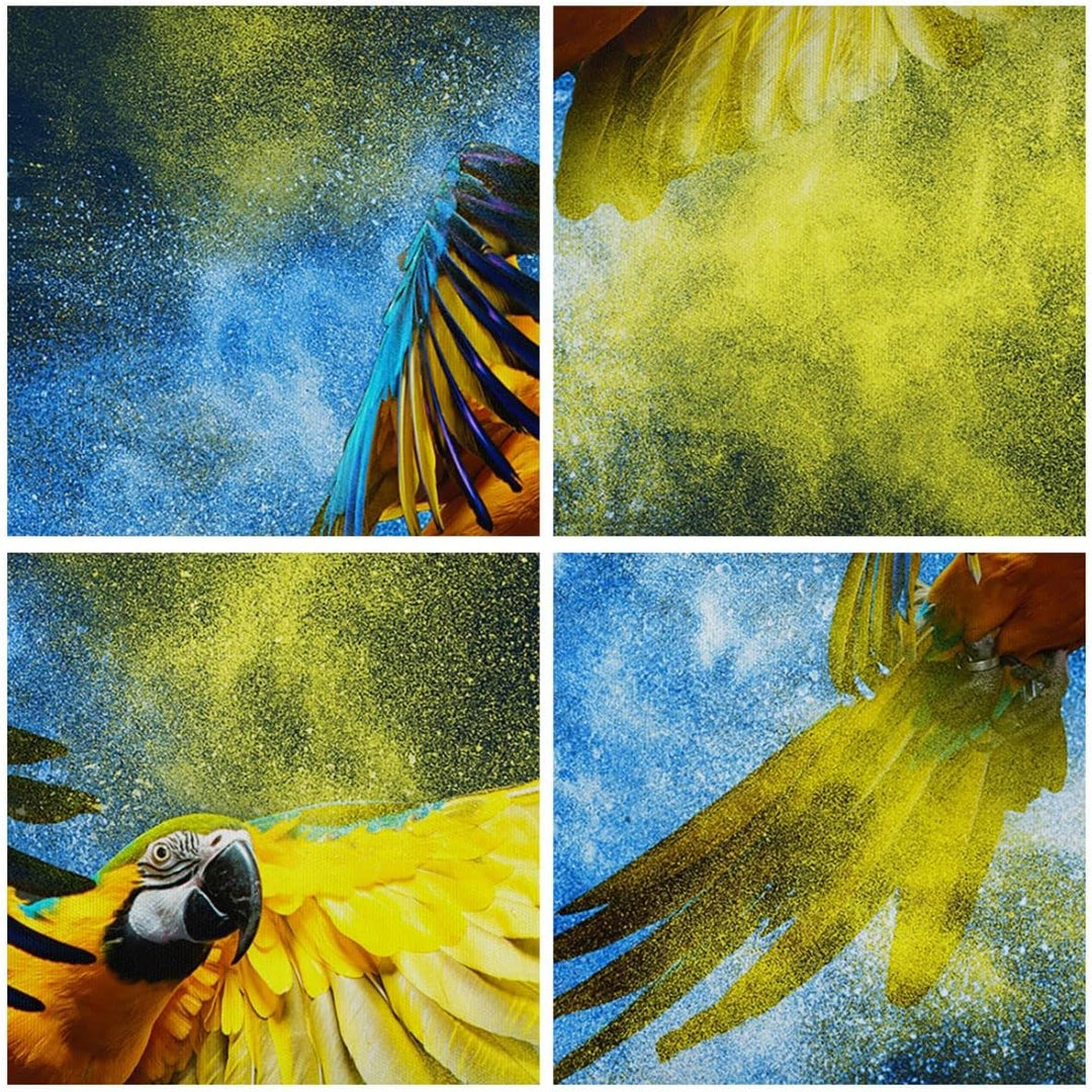 Bilder auf Leinwand Papagei Vogel Feder Leinwandbild mit Rahmen 70x50cm Wandbilder Dekoration Wohnzi