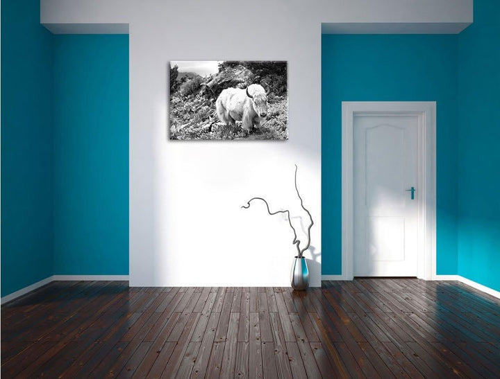 Pixxprint Schönes Yak Himalaya Kunst B&W als Leinwandbild/Grösse: 100x70 cm/Wandbild/Kunstdruck/fert