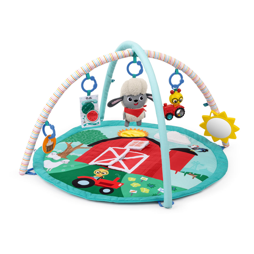 Baby Einstein Farm Explorers Happy Harvest Touch &amp; Feel Aktivitätsspielzeug mit musikalischem Plüsch