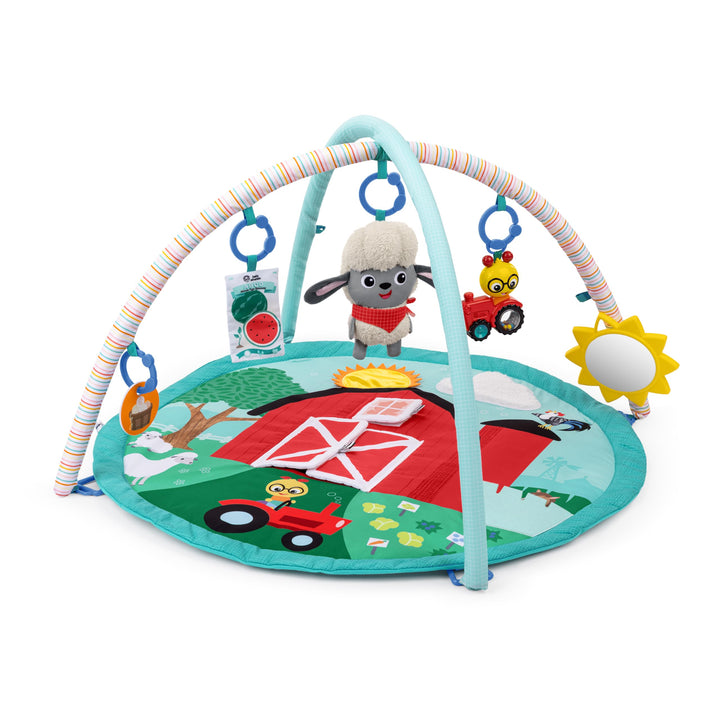 Baby Einstein Farm Explorers Happy Harvest Touch &amp; Feel Aktivitätsspielzeug mit musikalischem Plüsch