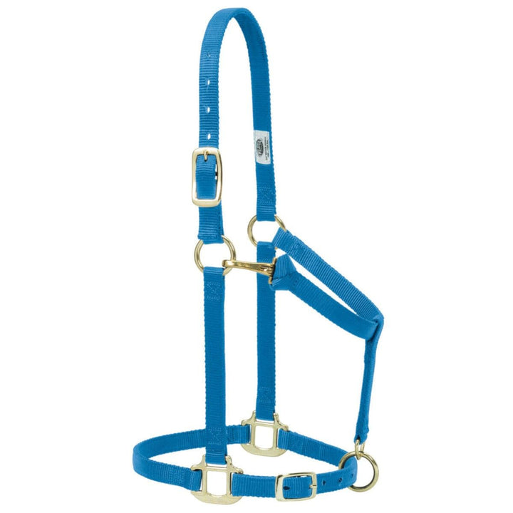 Weaver Leather Original verstellbares Nylonhalfter für Pferde L Horse Hurricane blau, L Horse Hurric
