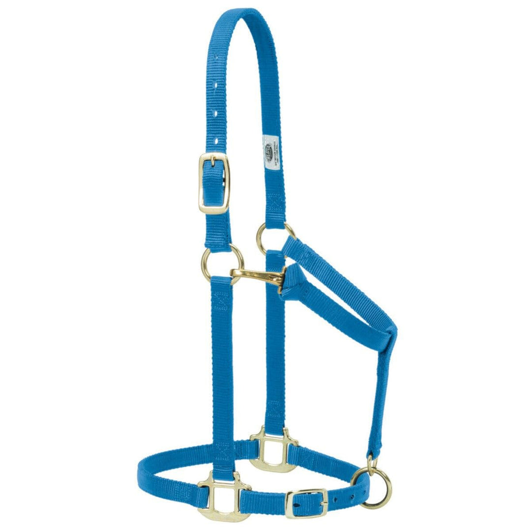 Weaver Leather Original verstellbares Nylonhalfter für Pferde 1" Small Horse Hurricane blau, 1" Smal