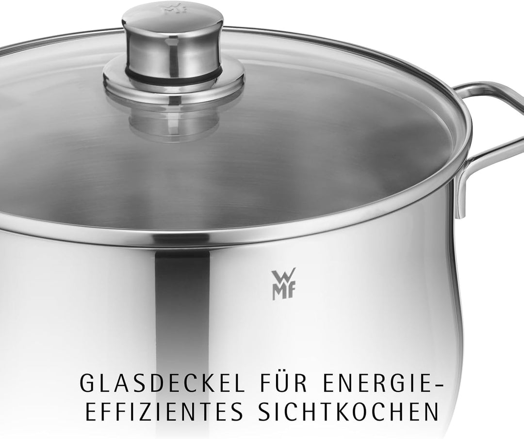 WMF Diadem Plus Kochtopf gross 20cm, Glasdeckel, Fleischtopf Induktion 3,7l, Cromargan Edelstahl pol