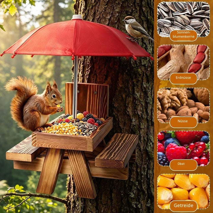 Eichhörnchen Futterhaus Wetterfest
