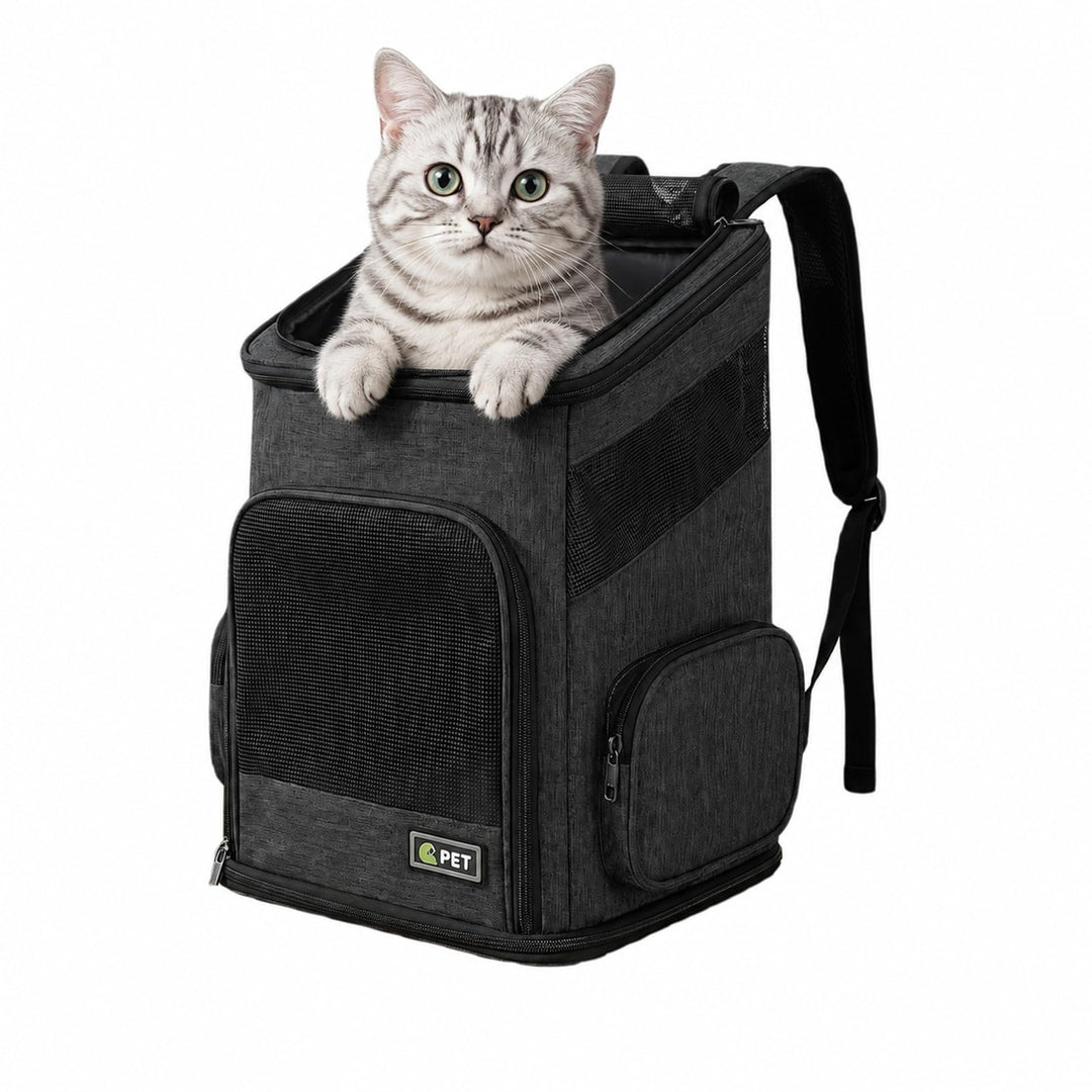 Katzenrucksack, Faltbarer Haustier-Tragerucksack für Katzen und kleine Hunde, Hunderucksack mit belü