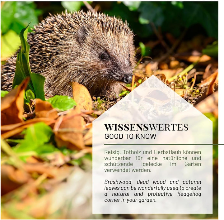 WILDLIFE HOME Igelfutter VON IGELHILFEN EMPFOHLEN Getreidefrei 1kg - Artgerechtes Spezialfutter für