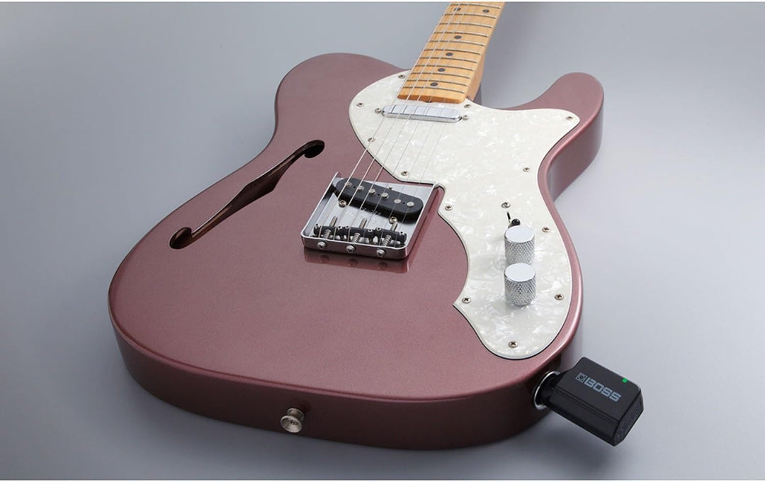 Boss WL-20 Wireless System, WL-20