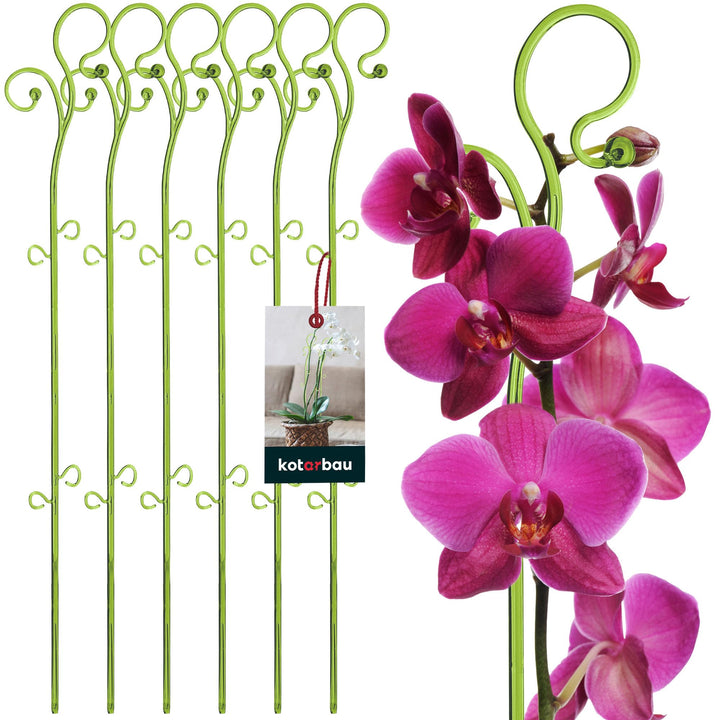 KOTARBAU® 6er Set Pflanzenstütze Grün PVC 58 cm Blumenstütze Rankhilfe Zimmerpflanzen Blumenstütze G