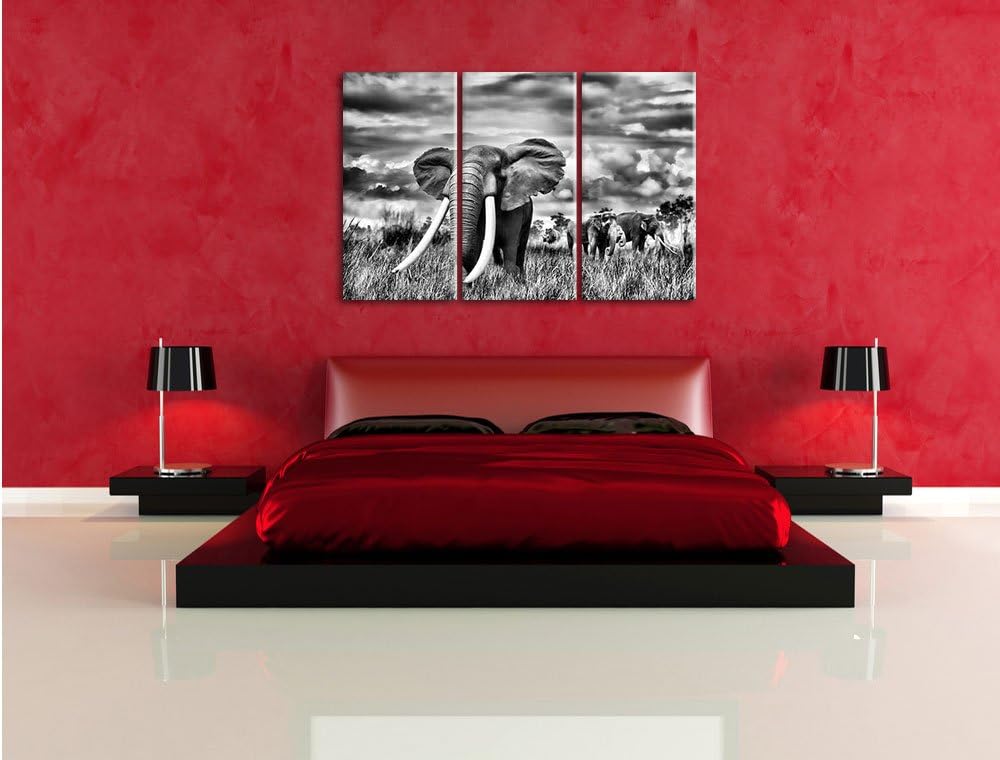 Pixxprint Stolzer Elefant in Savanne als Leinwandbild/Grösse: 3 Teilig (120x80) cm/Wandbild/Kunstdru