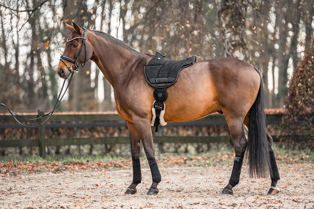 Equinate Reitpad Toledo aus Mikrofaser Schwarz - Bareback Pad mit pflegeleichter Neopren Unterseite
