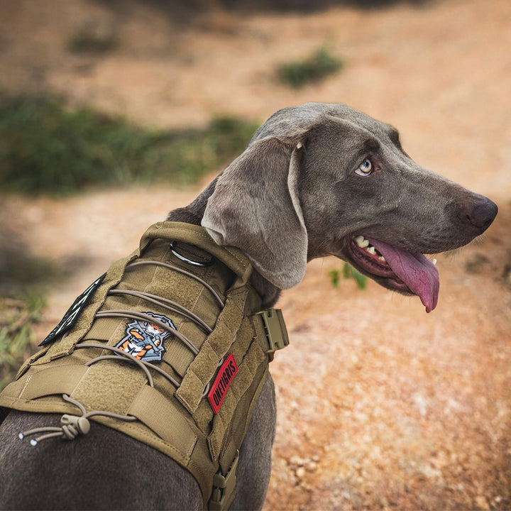 OneTigris Taktische Hundeweste Service Hundegeschirr MOLLE Hundeausbildung Geschirr 1000D Nylon (M,