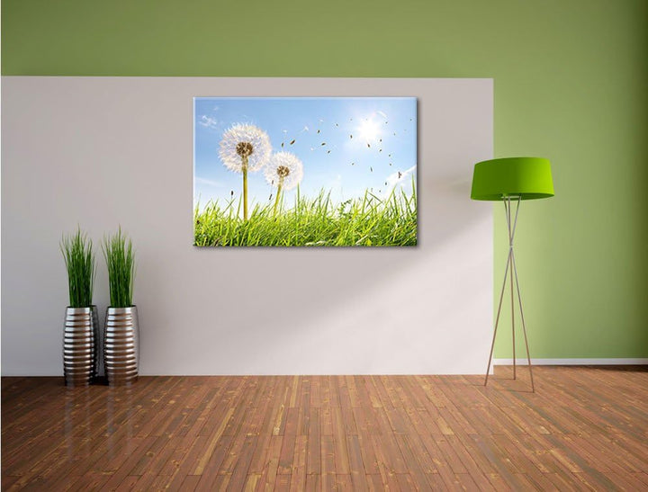 Pusteblumen auf sonniger Frühlingswiese Format: 100x70 auf Leinwand, XXL riesige Bilder fertig gerah