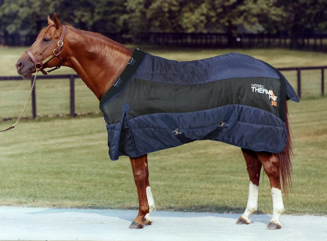 Horses Decke Thermo Hot 300 g Blau/Schwarz 145 cm, hervorragende Verarbeitung, nützlich zum Schutz d