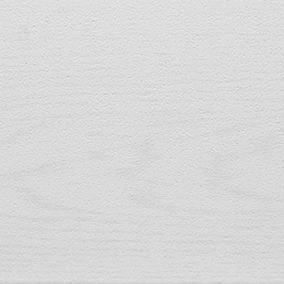 Decosa Deckenpaneele AP 305 in Weiss - 2 Packstücke à 12 Paneelen 100 x 16,5 cm (= 4 qm) - Decken Pa