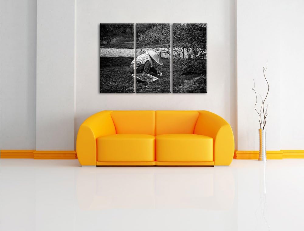 Pixxprint japanischer Gärtner bei der Arbeit als Leinwandbild/Grösse: 3 Teilig (120x80) / Wandbild/K