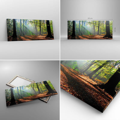 Wandbilder Dekoration Wohnzimmer Wald Blätter Sonne Panorama Bilder auf Leinwand 120x50cm Leinwandbi