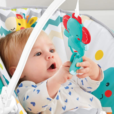 Fisher-Price Bunte karneval Comfort Curve Bouncer, Mehrfarbig,