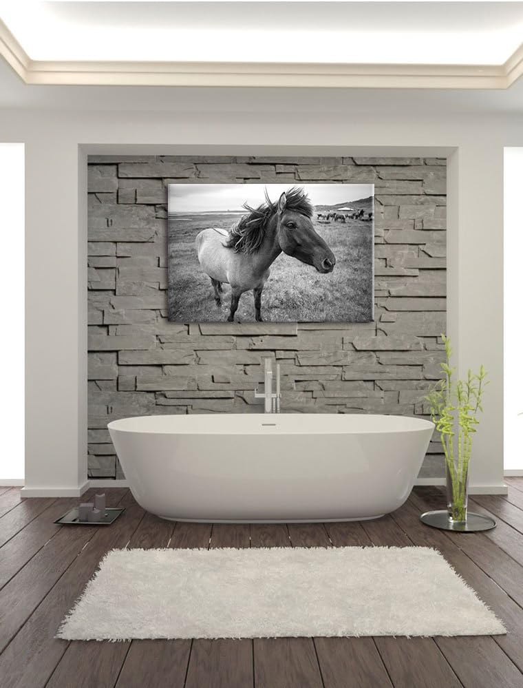 Isländer Pferde in der Wildnis / 100x70cm Leinwandbild bespannt auf Holzrahmen/Wandbild Kunstdruck D