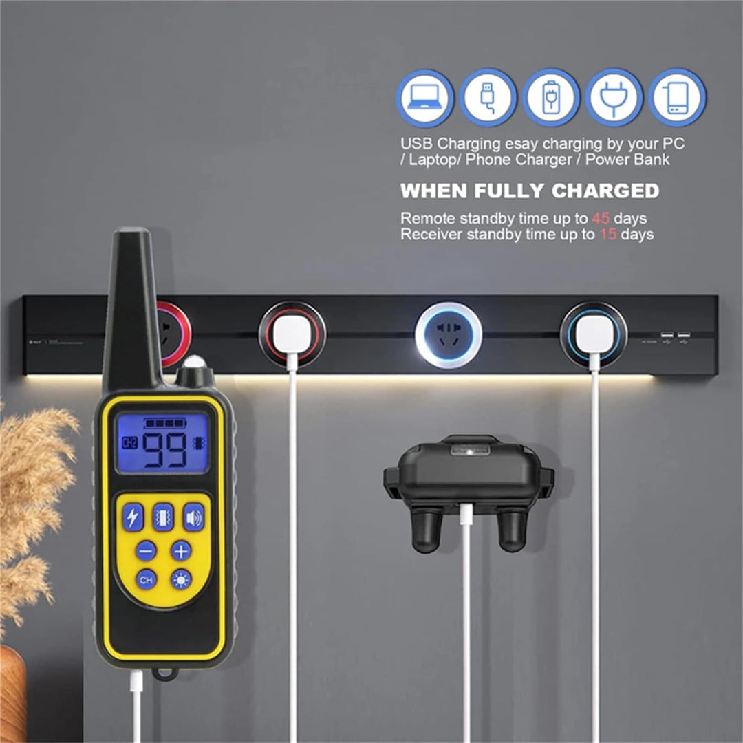 Generisch Agility-Ausrüstung,2025Erziehungshilfen,Ideal auch für Agility-Training.Praktische Hundeer