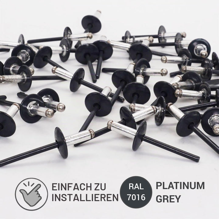 SKIR'CO (100 Stück) Grossflansch Alu Blindnieten 4,8 x 14 mm, Edelstahldorn, RAL 7016 Anthrazitgrau