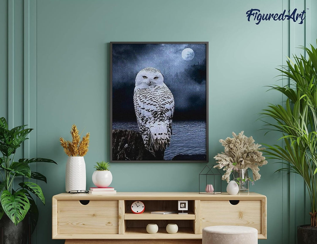 Figured'Art Diamond Painting Erwachsene 40x50cm Ganze Leinwand gerollt Weisse Eule 5D Bilder Eckige