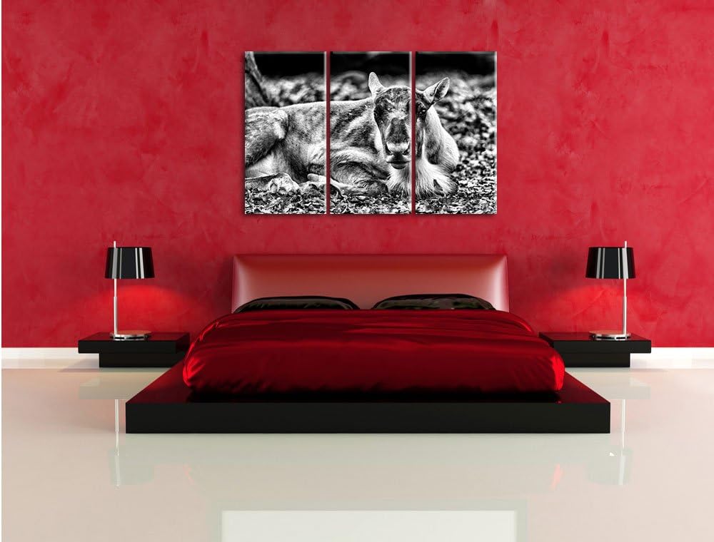 Pixxprint Monocrome, junger Elch 3-Teiler Leinwandbild 120x80 Bild auf Leinwand