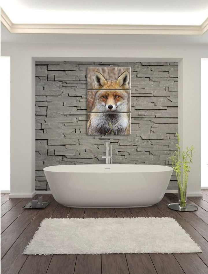 Pixxprint aufmerksamer Fuchs im Geäst als Leinwandbild/Grösse: 3 Teilig (120x80) cm/Wandbild/Kunstdr
