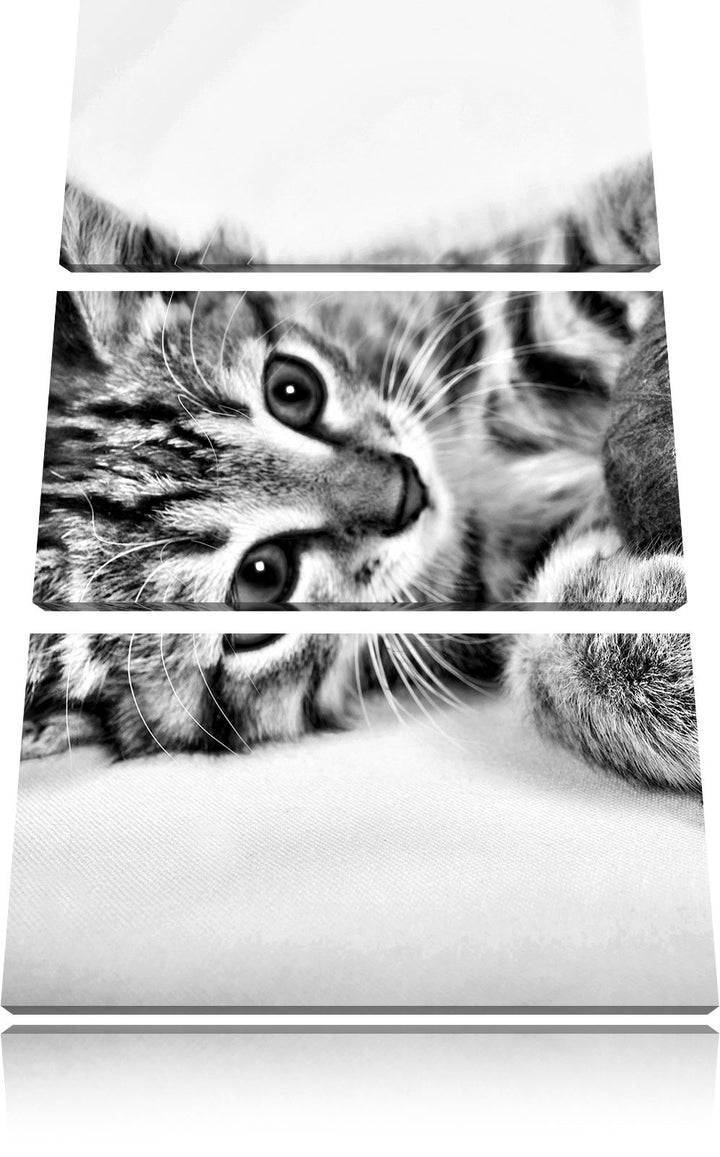 Pixxprint Kätzchen mit Wollknäuel als Leinwandbild/Grösse: 3 Teilig (120x80) cm/Wandbild/Kunstdruck/
