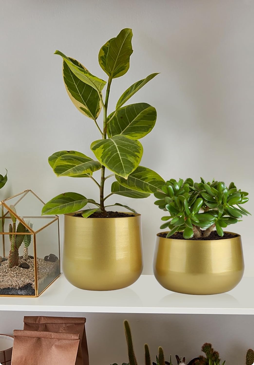 Vixdonos Messingfarbene Metall-Blumentöpfe für den Garten, 19,5 cm (7,1/6,3 Zoll), rund, für Sukkule