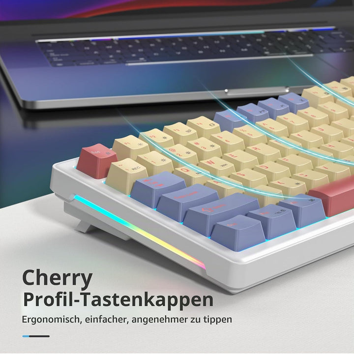 SOLIDEE Verkabelte Mechanische Gaming Tastatur 75 Prozent,hot-swap-fähige Mechanische Tastatur mit G