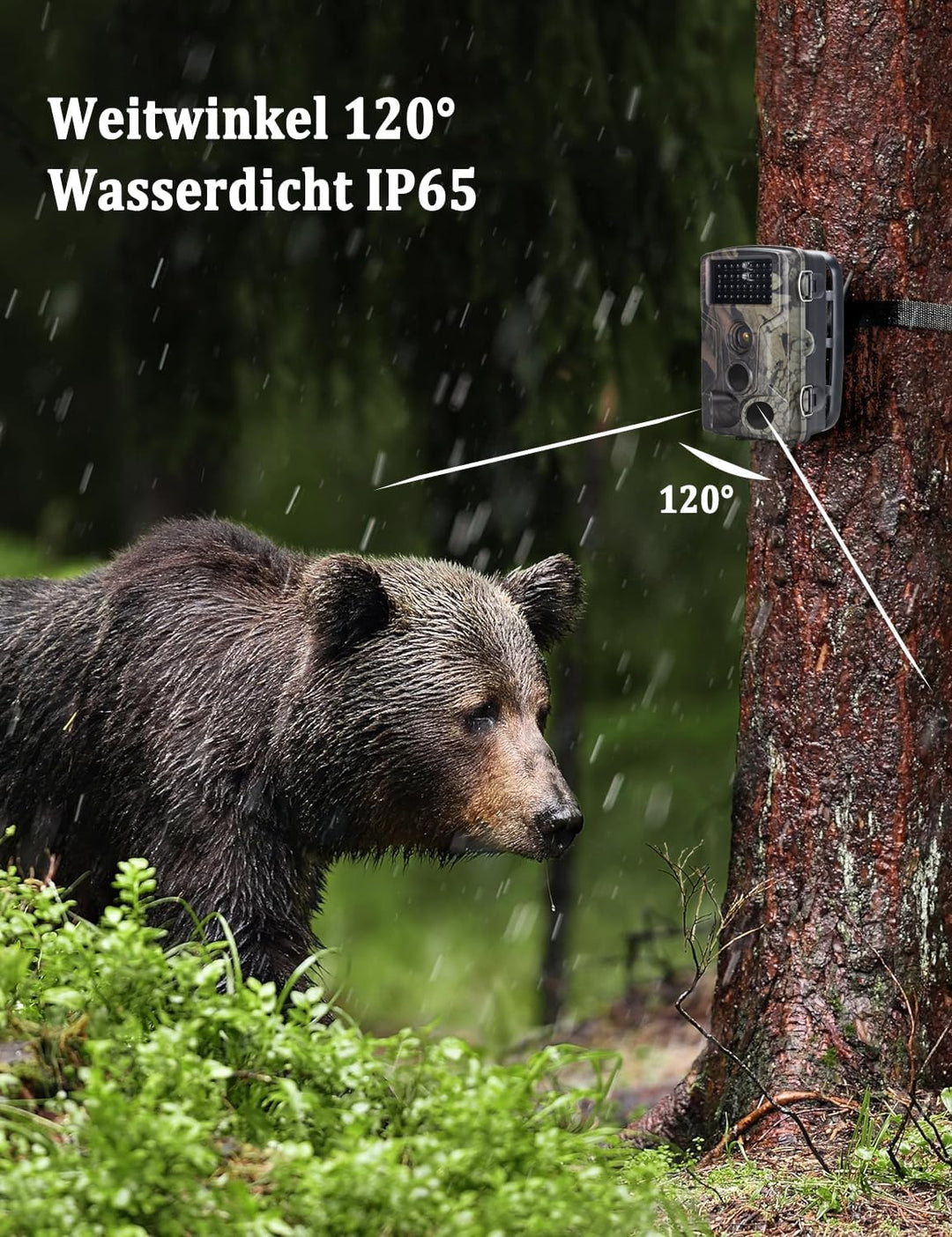 Wildkamera, 4K 50MP Wildtierkamera mit Bewegungsmelder Nachtsicht, IP65 Wasserdicht, Weitwinkel 120