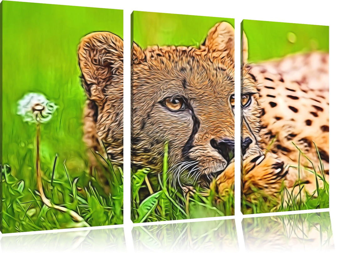Gepard im Gras Spezial 3-Teiler Leinwandbild 120x80 Bild auf Leinwand, XXL riesige Bilder fertig ger