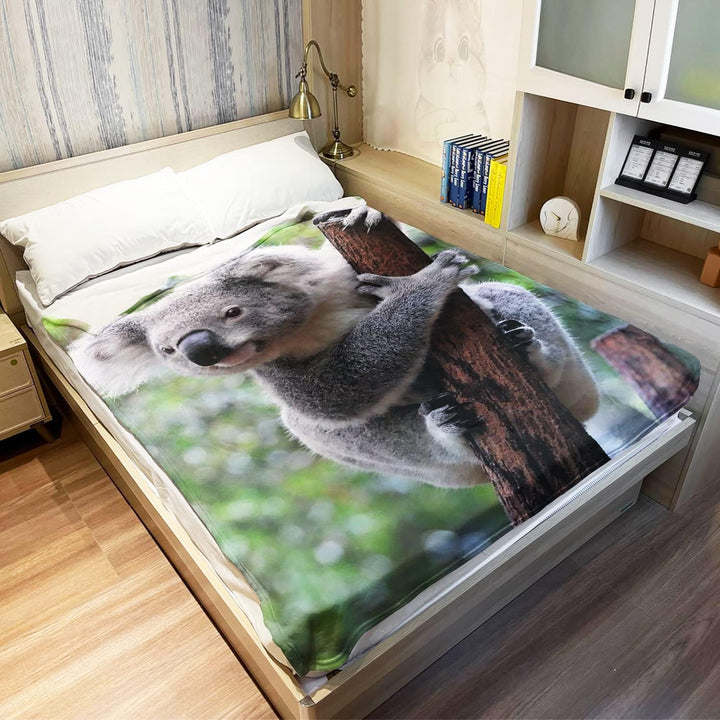 Zomer Kuscheldecke,Koala,125x150cm,Grau,Flauschige Decke Mikrofaser Fleecedecke Weiche &amp; Warme Sofad