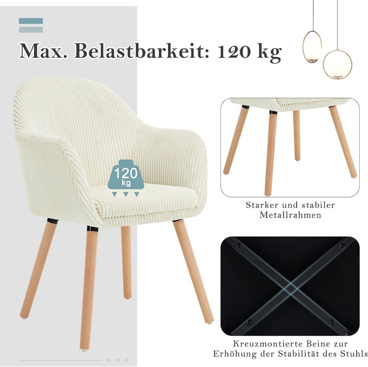 WOLTU Esszimmerstühle 2er Set, Stuhl Esszimmer Esstisch, Küchenstuhl Armlehnstuhl Polsterstuhl, Sess