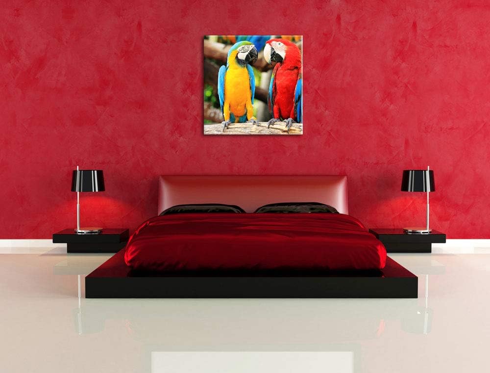 Zwei Papageien auf einem AST, Format: 70x70 auf Leinwand, 70x70
