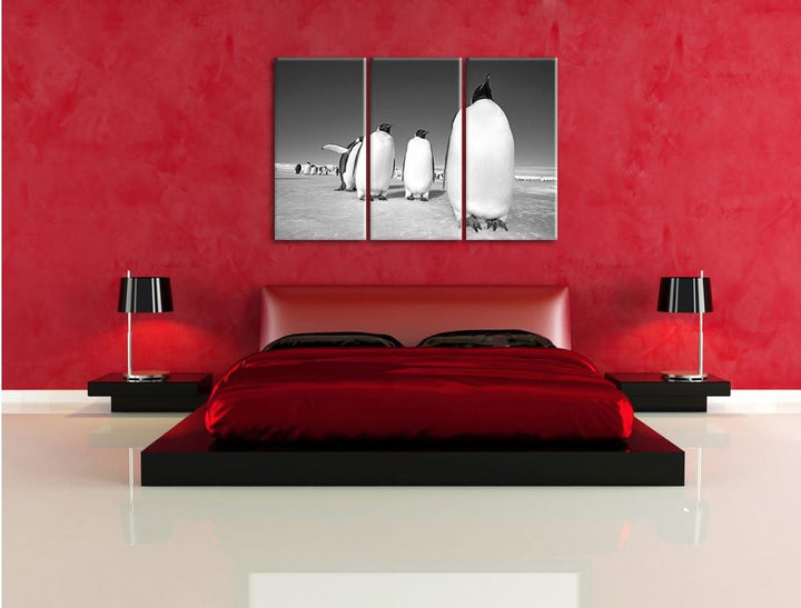 Pixxprint Kaiserpiguine in Antarktis als Leinwandbild/Grösse: 3 Teilig (120x80) cm/Wandbild/Kunstdru