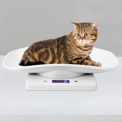 Fdit Mini Digital Elektronische K¨¹chenwaage 10 kg / 1 g Kleine Haustierwaage f¨¹r Katzen Hunde Mess