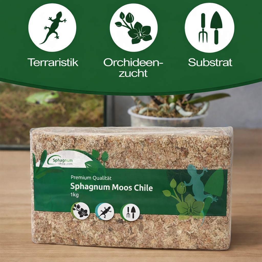 Sphagnum Moos für Terrarium und Orchideen aus Chile 1 x 1000 g 1x1000gr, 1x1000gr