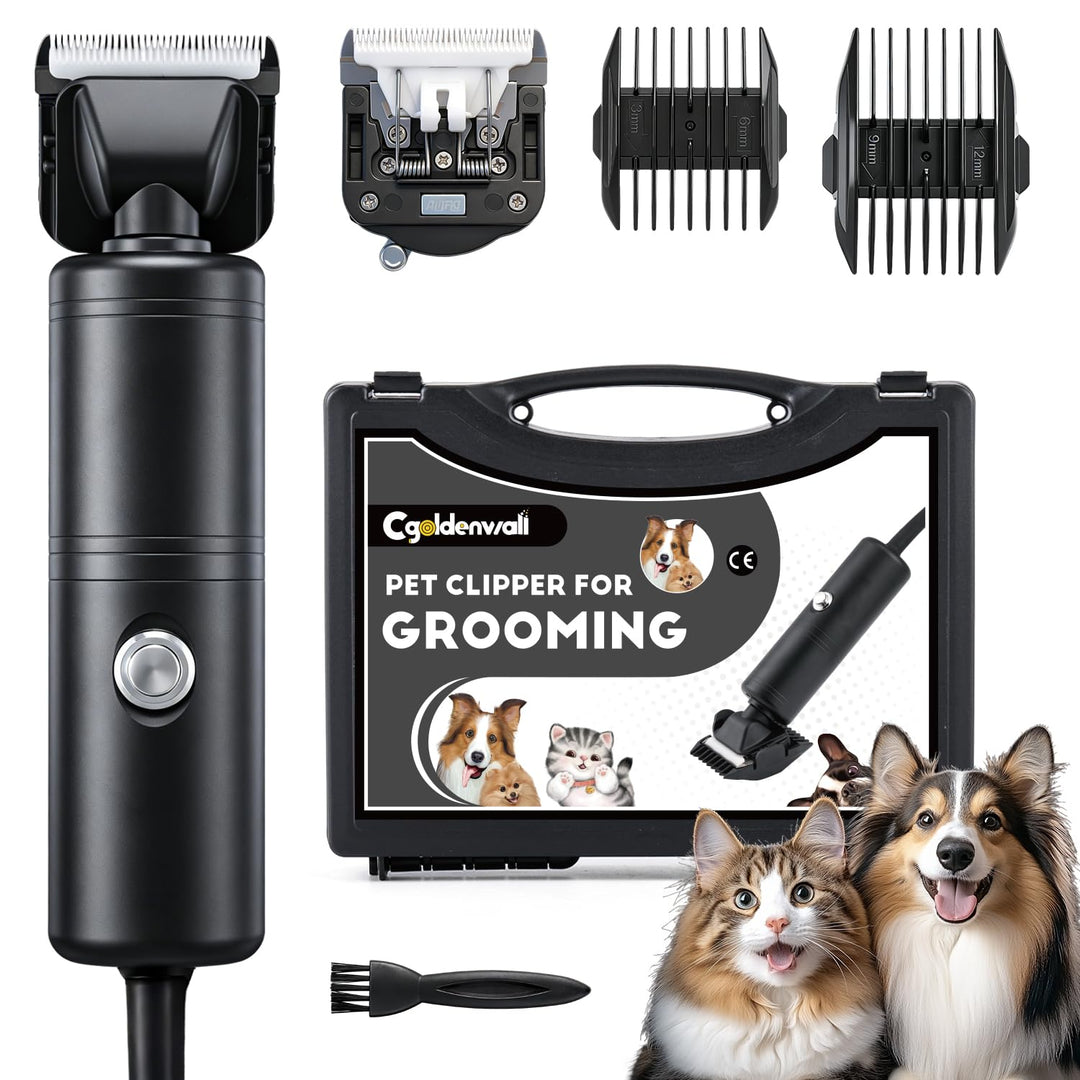 CGOLDENWALL 300W Hundeschermaschine Profi, 2000-6600U/min Stufenlose Geschw.,, Schwarz