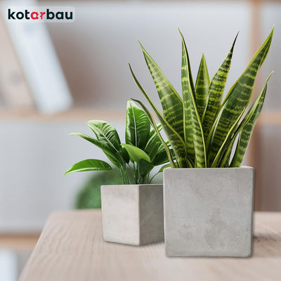 KOTARBAU® Blumentopf Übertopf 20 x 20 cm für Blumen Pflanzen aus Dekorativ-Beton Quadratisch im Inne