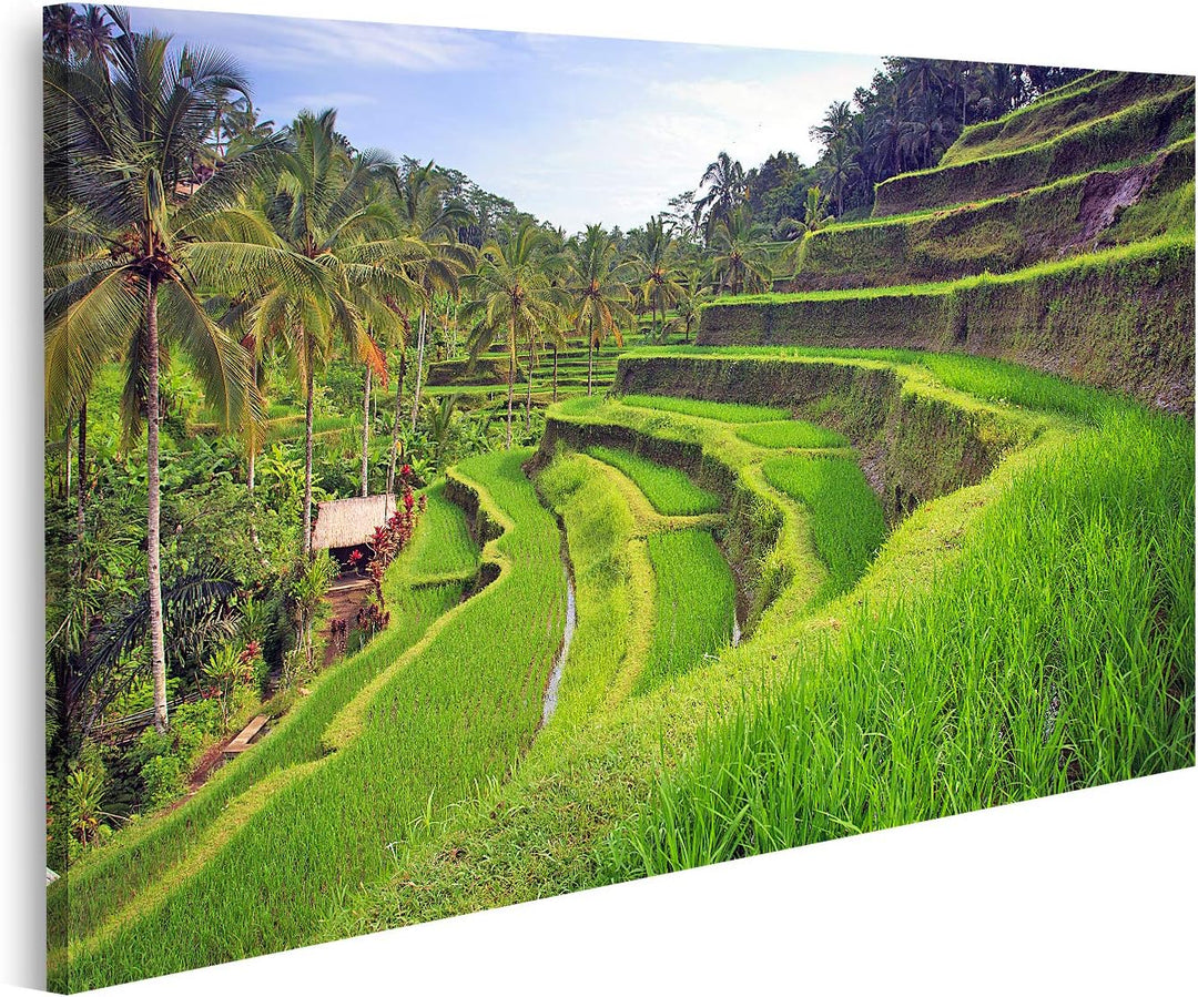 islandburner Bild auf Leinwand Terrasse Reisfelder Ubud Tegallalang Bali Indonesien Bilder Wandbilde