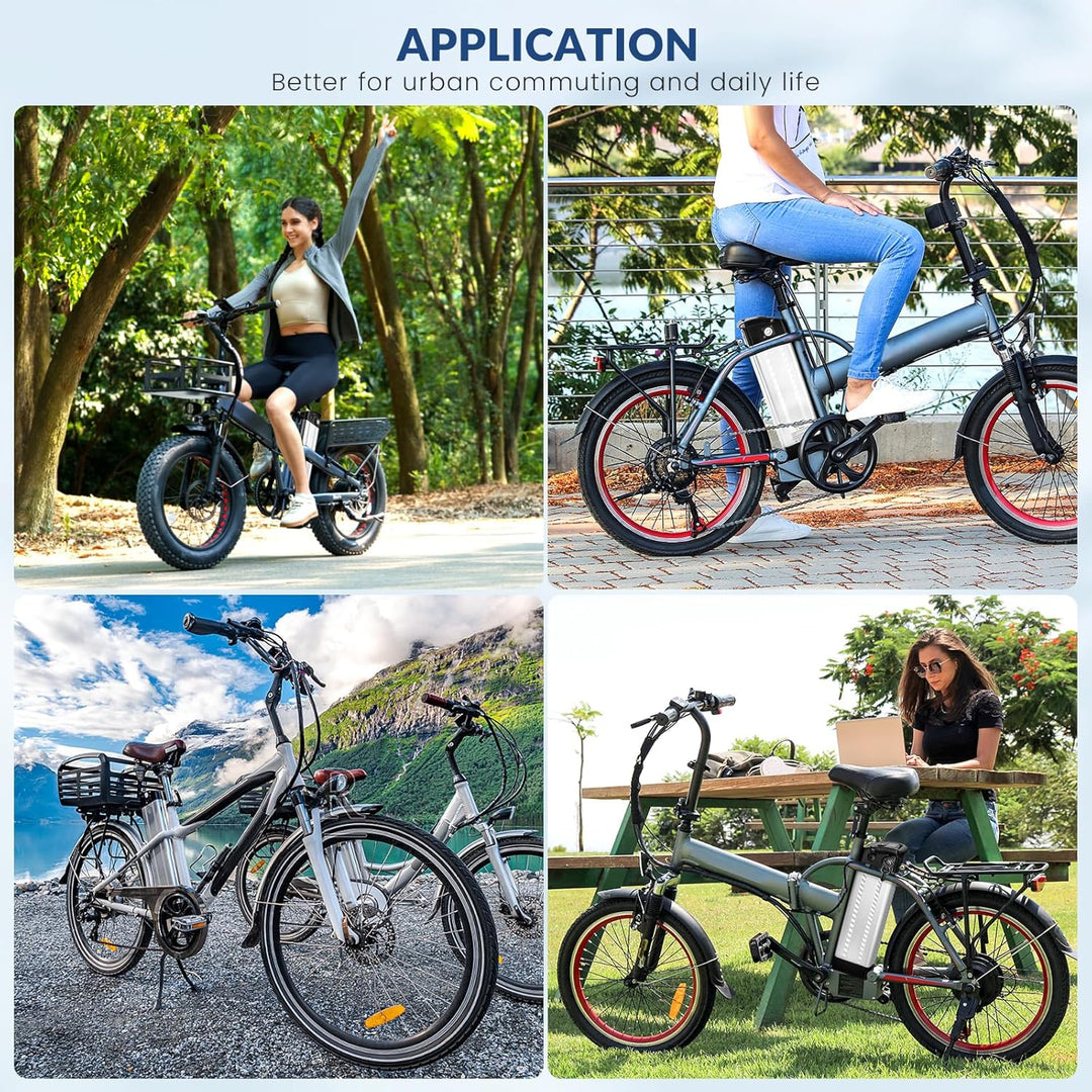 X-go Ebike Batterie, Elektrofahrrad Batterie E-Bike Lithium Batterie Silber Fisch mit Ladegerät, Led