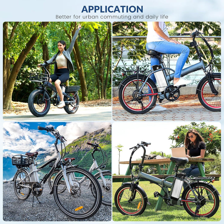 X-go Ebike Batterie, Elektrofahrrad Batterie E-Bike Lithium Batterie Silber Fisch mit Ladegerät, Led
